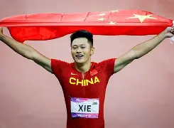 赛点之战意甲前瞻：谢震业伤情更新，武汉三镇冲击不败纪录的简单介绍